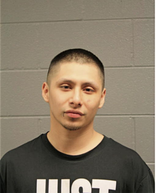 OSCAR D SARBIA-FRUFINO, Cook County, Illinois