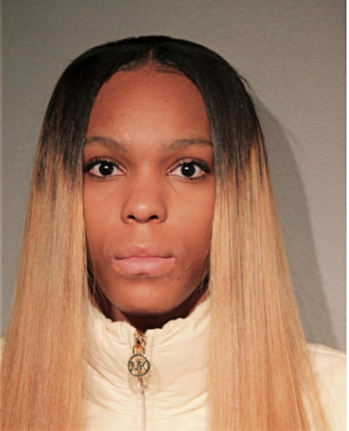 JAMELA T SOLOMON, Cook County, Illinois
