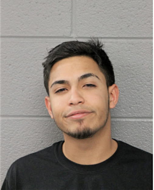 RAYMOND A VASQUEZ-FIGUEROA, Cook County, Illinois