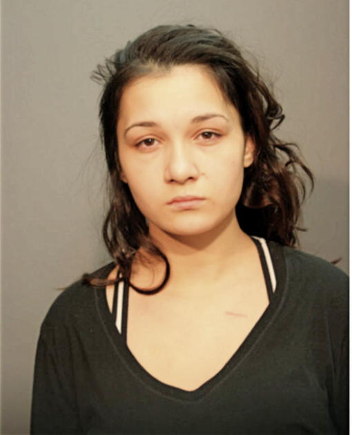 SHYANN M WAKEMAN, Cook County, Illinois