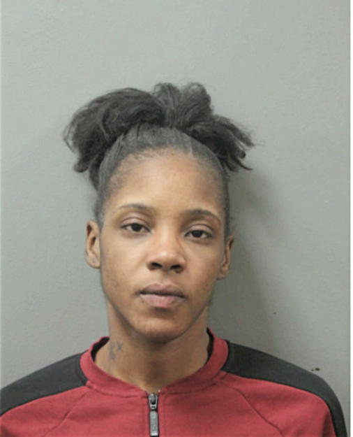 KIANNA L WASHINGTON, Cook County, Illinois