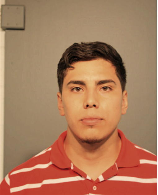 LUIS ABREGO, Cook County, Illinois