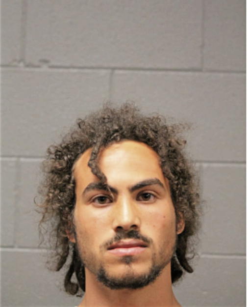 MICHAEL ALEXANDER, Cook County, Illinois