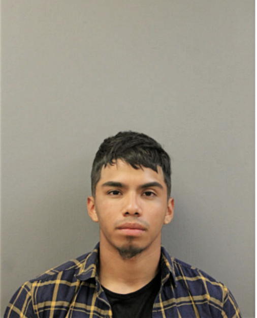 STEVE ALVARADO-NANDI, Cook County, Illinois