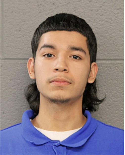 EMILIO AMAYA, Cook County, Illinois