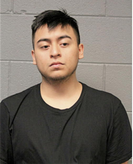 BRANDEN J ARROYO, Cook County, Illinois