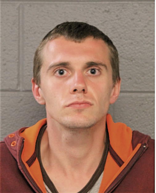 KAROL K BYSTREK, Cook County, Illinois