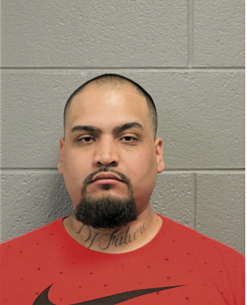 DANIEL CAMARENA, Cook County, Illinois
