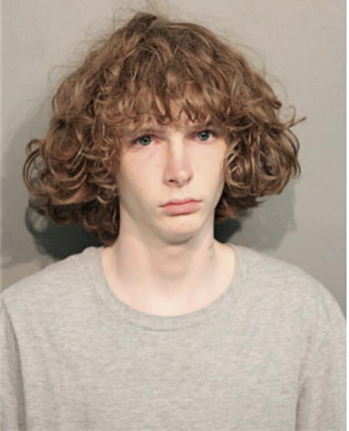 NATHAN A DOUGHERTY, Cook County, Illinois
