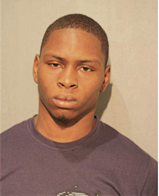 JAMIL D FLEMING, Cook County, Illinois