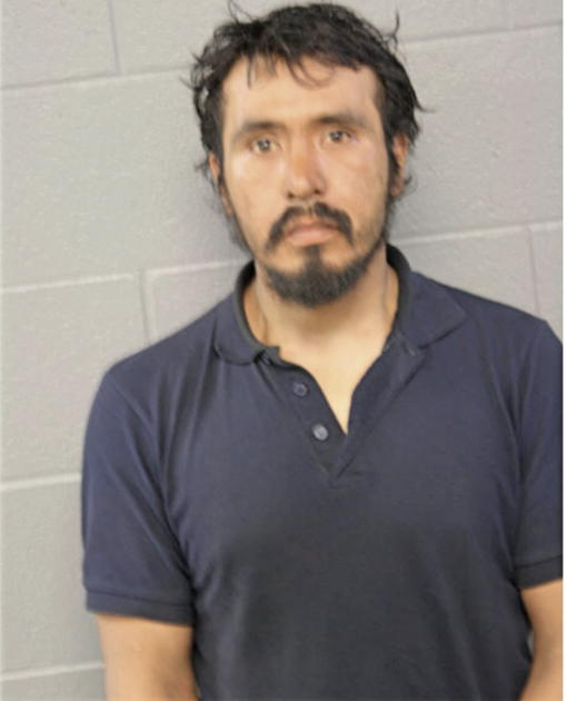 CUPERTINO GARCIA, Cook County, Illinois