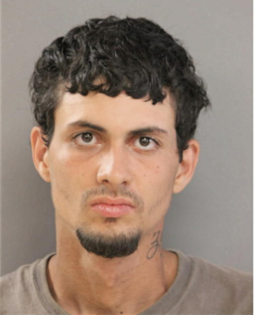 LUIS ANTONIO GARCIA, Cook County, Illinois