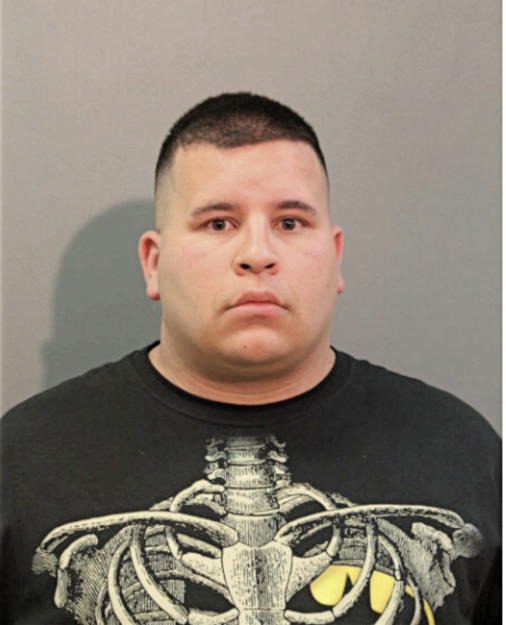 EMILIO A GARZA, Cook County, Illinois