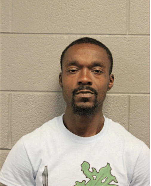JOSHUA L HOLLINS, Cook County, Illinois