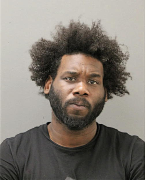 BRIAN M LYLES, Cook County, Illinois