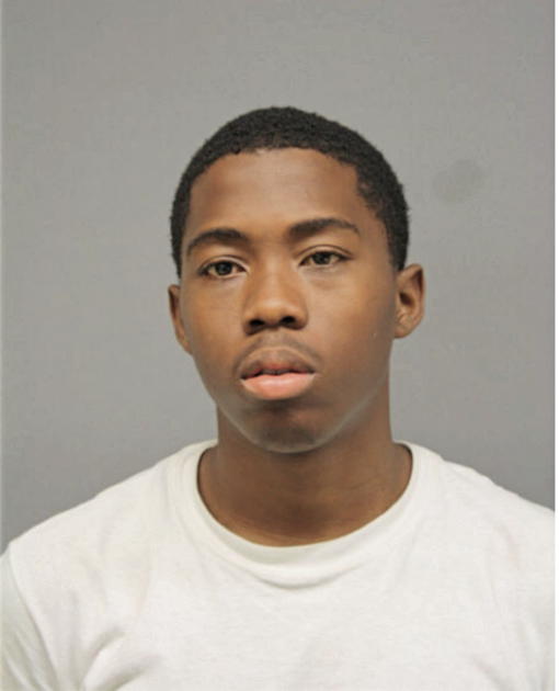 JALEN E MINOR, Cook County, Illinois