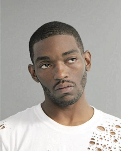KENNETH R NELSON, Cook County, Illinois