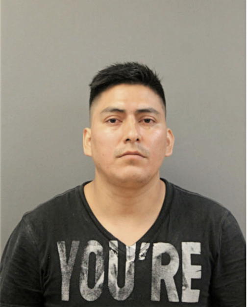 LUIS F NIVELO, Cook County, Illinois