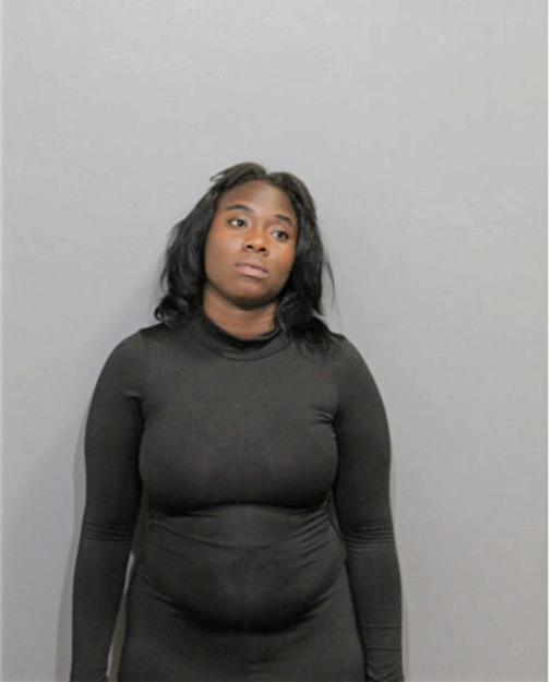 ZARAYYA N NOBLE, Cook County, Illinois