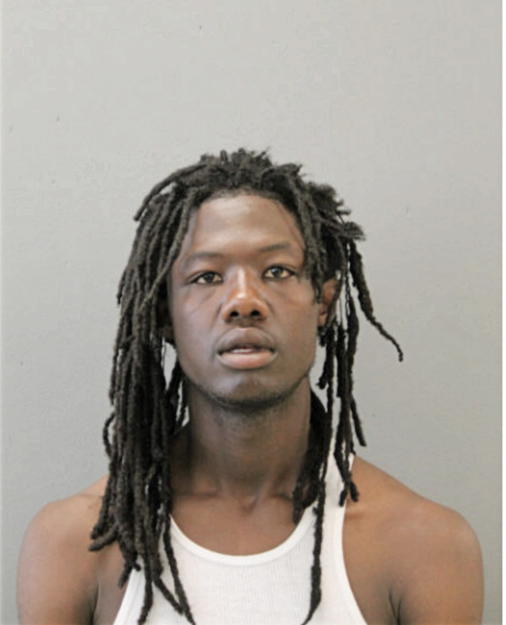 DEREK J NORMAN, Cook County, Illinois