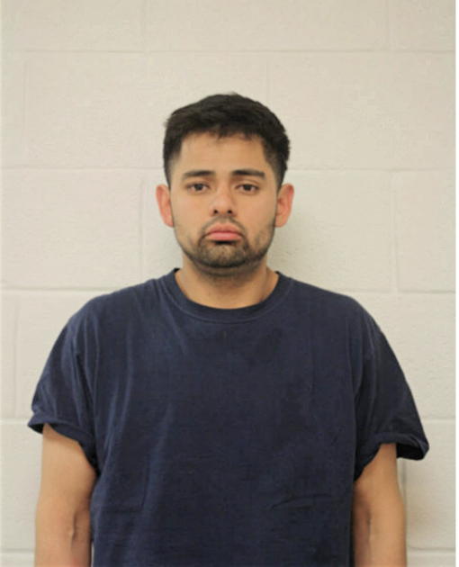DANIEL ORTEGA, Cook County, Illinois