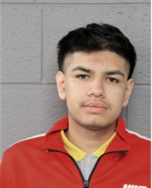 BRIAN ORTIZ, Cook County, Illinois