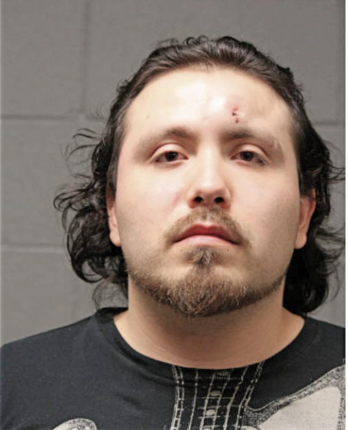 DAVID G RAGA, Cook County, Illinois