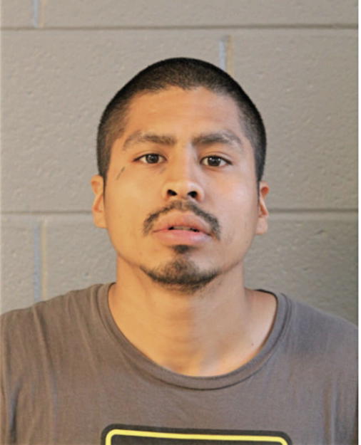 MARTIN REYES, Cook County, Illinois