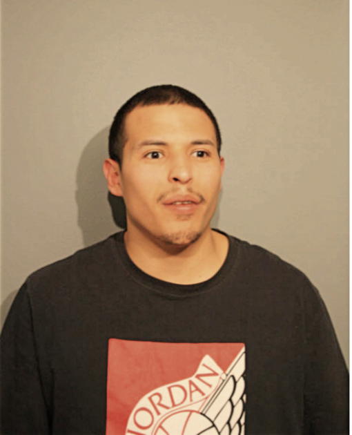 MIGUEL A ROMAN, Cook County, Illinois
