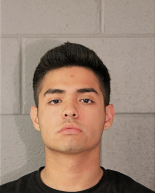 MARIO SALINAS, Cook County, Illinois