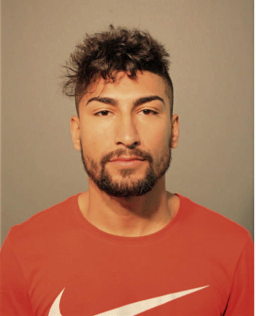 ARMANDO G TELLO JR., Cook County, Illinois