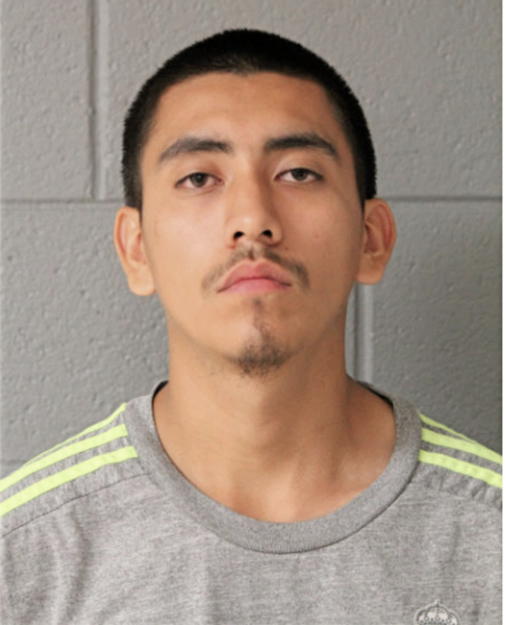 MARCO A TREJO, Cook County, Illinois