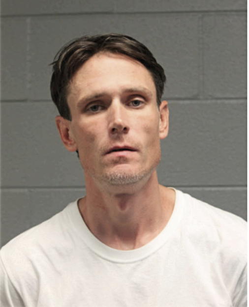 PATRICK L WEBER, Cook County, Illinois