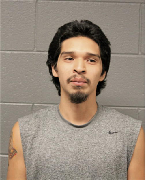 DANIEL ALVAREZ, Cook County, Illinois