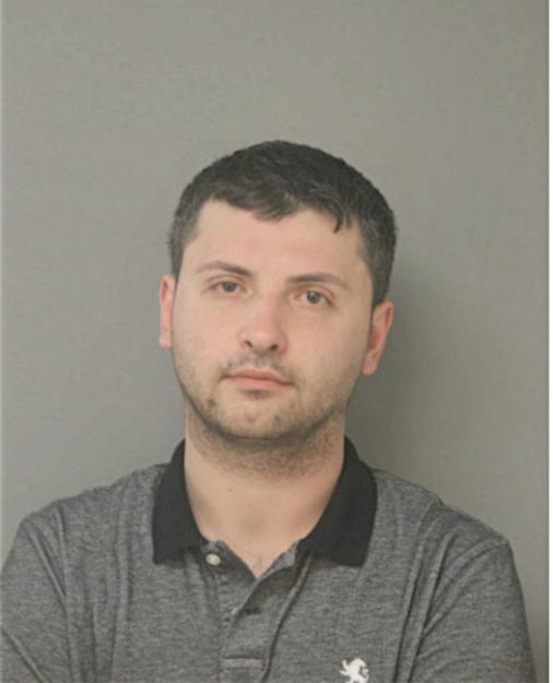 ALEN AVDIC, Cook County, Illinois