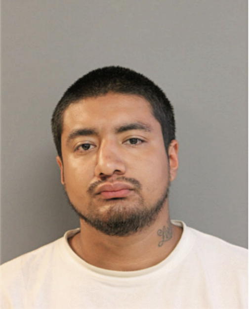 CRISTIAN CASTRO, Cook County, Illinois