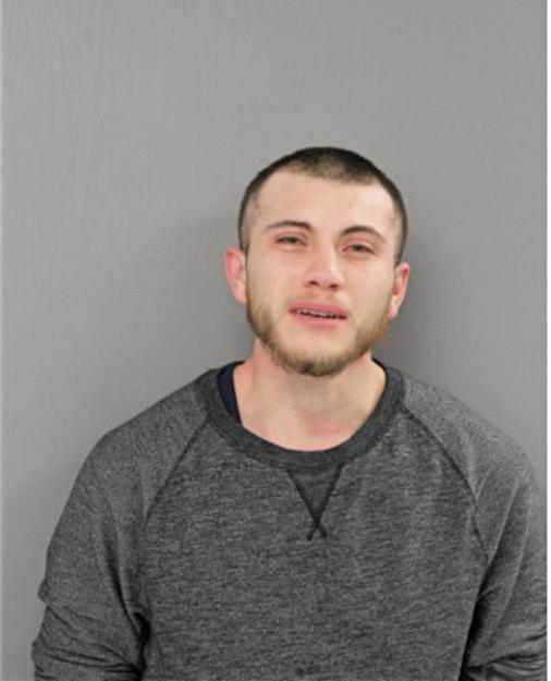 LUIS A CASTRO, Cook County, Illinois