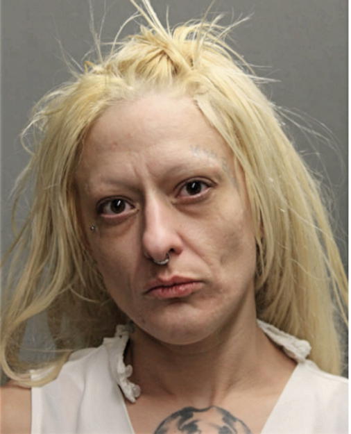 AMANDA L CONNE, Cook County, Illinois