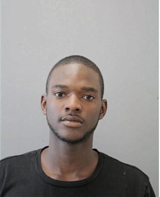 TREVON K FLEMING, Cook County, Illinois