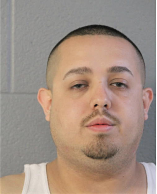 DALTON O GARCIA, Cook County, Illinois
