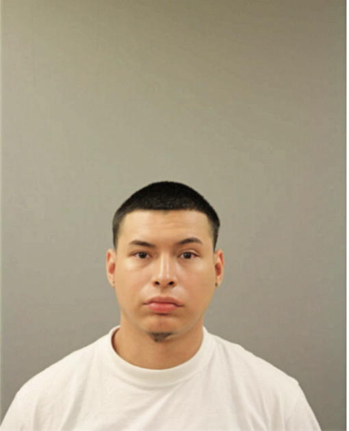 IVAN GUZMAN, Cook County, Illinois