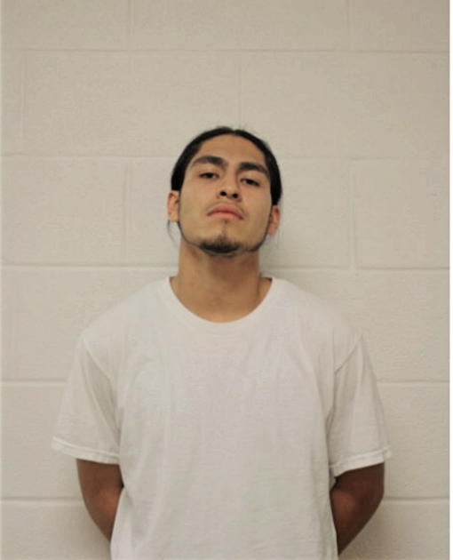 LUIS D HERNANDEZ, Cook County, Illinois