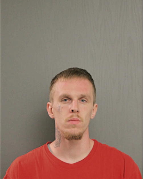 MICHEAL L LANZ, Cook County, Illinois