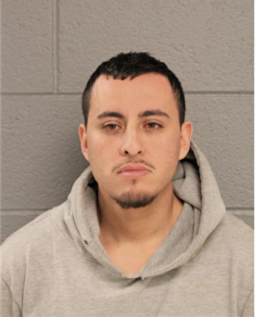AGUSTIN A NAVA, Cook County, Illinois
