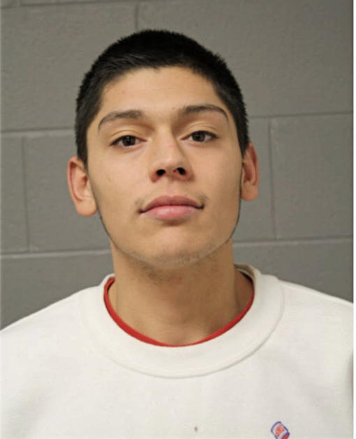 AMANCIO V RAMIREZ, Cook County, Illinois