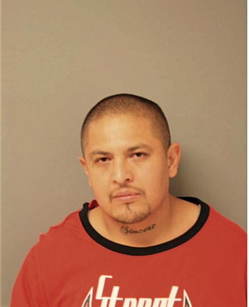 RENE RICO, Cook County, Illinois