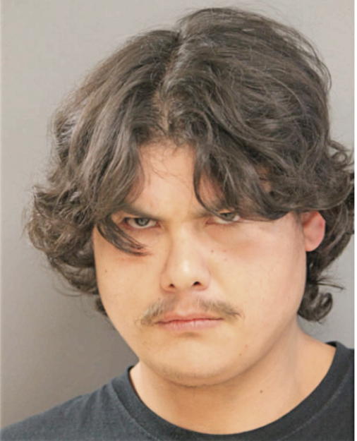ALBERTO H RODRIGUEZ, Cook County, Illinois