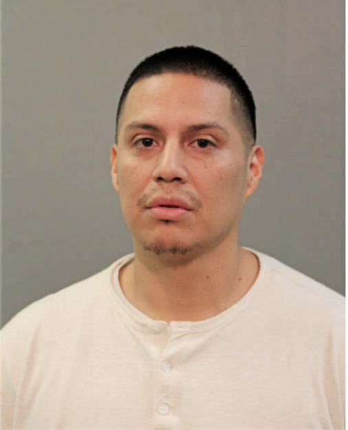 LUIS E ROMERO, Cook County, Illinois