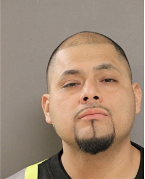 ADAM SALINAS, Cook County, Illinois