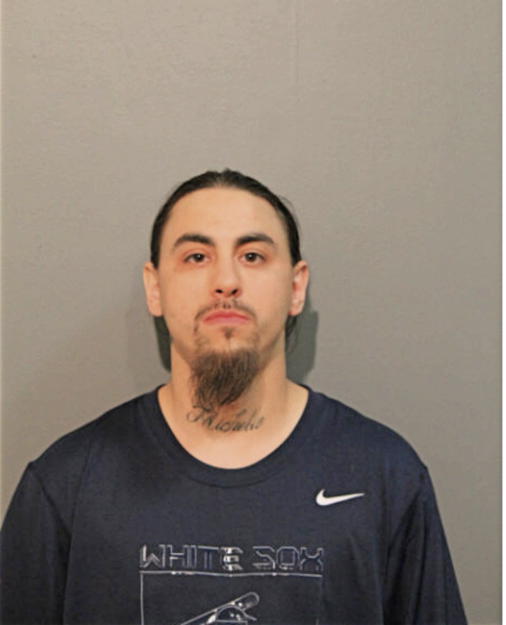 JOE J TERRONES, Cook County, Illinois